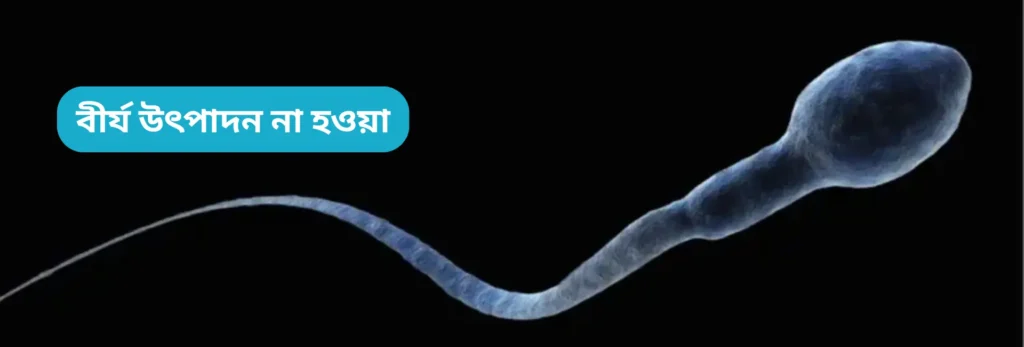 অ্যাসপার্মিয়া : পুরুষ বন্ধ্যাত্বের কারণ, লক্ষণ ও প্রতিকার 1 বীর্য উৎপাদন না হওয়া