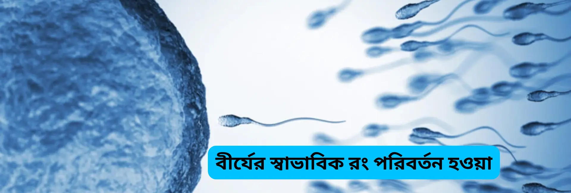 বীর্যের রং পরিবর্তন: স্বাভাবিক না অস্বাভাবিক? কারণ ও করণীয় 1 বীর্যের স্বাভাবিক রং পরিবর্তন