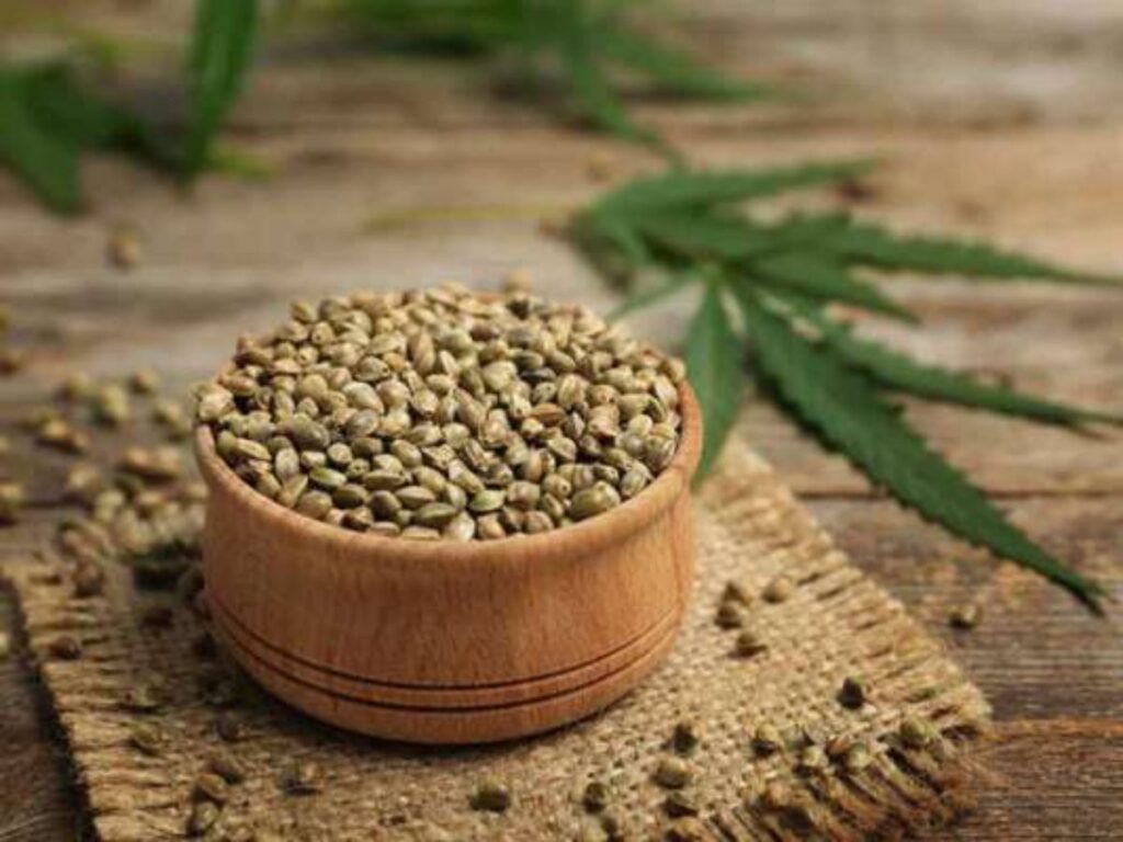 ভাং বীজ: স্নায়ু শিথিলতা ও যৌন উত্তেজনায় উপকারী উপাদান 1 ভাংবীজ