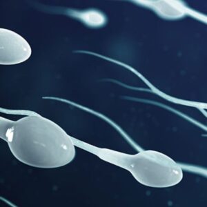শুক্রাণু বৃদ্ধির ভেষজ খাবার | Sperm Boosting Natural Food