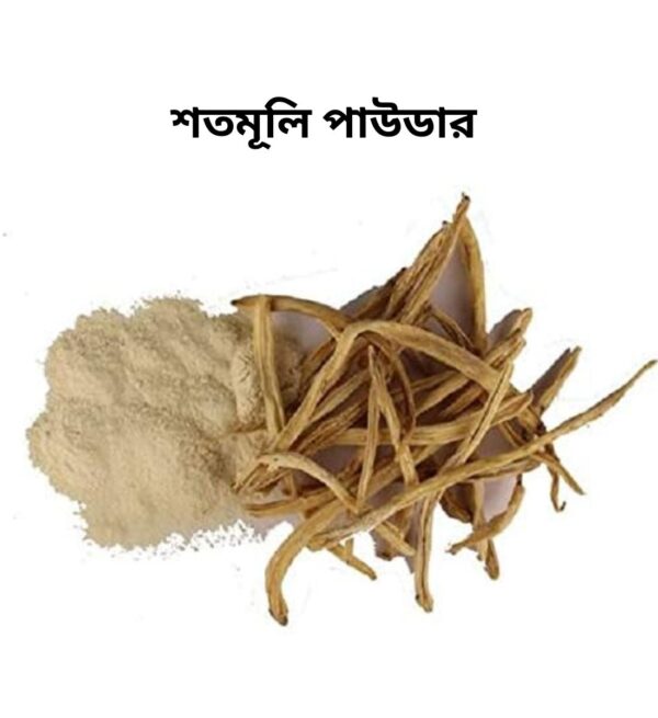 শতমূলি পাউডার