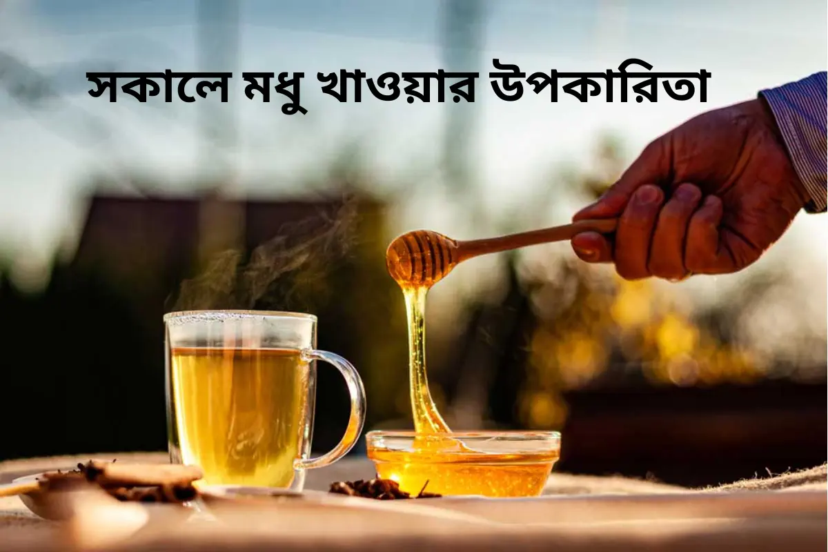 সকালে মধু খাওয়ার ১০টি বৈজ্ঞানিক উপকারিতা: সুস্থতার এক প্রাকৃতিক সমাধান