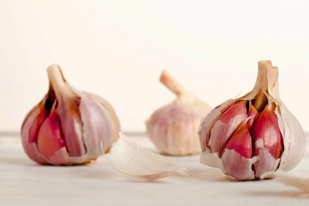 সেক্সে রসুন এর উপকারিতা