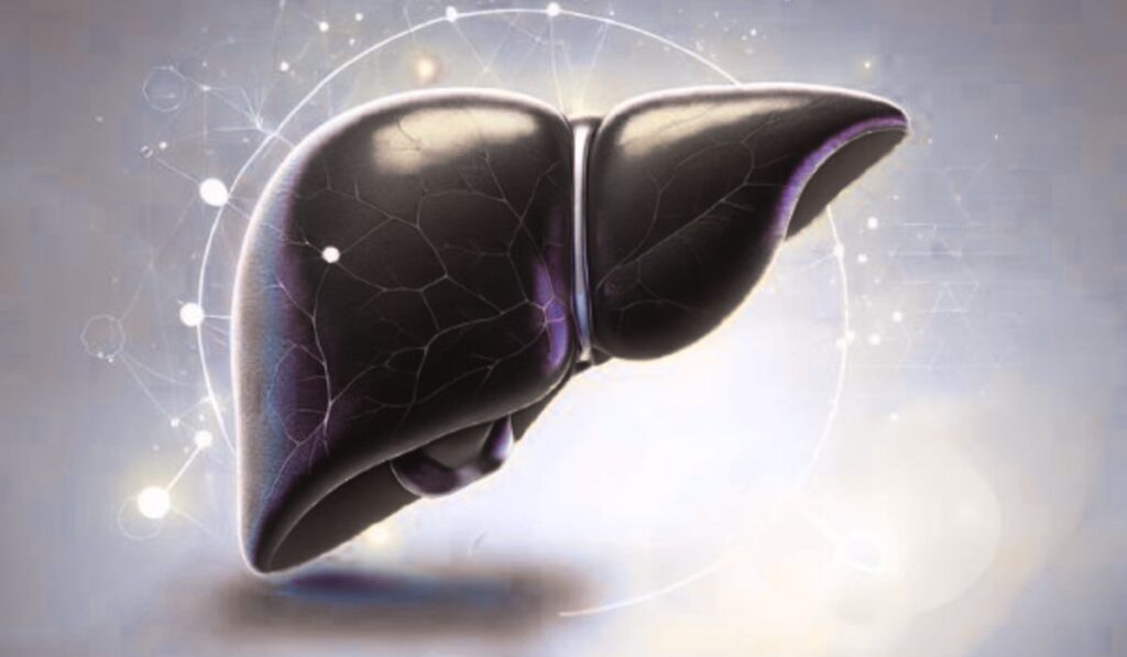 অ্যালকোহলিক ফ্যাটি লিভার ডিজিজ