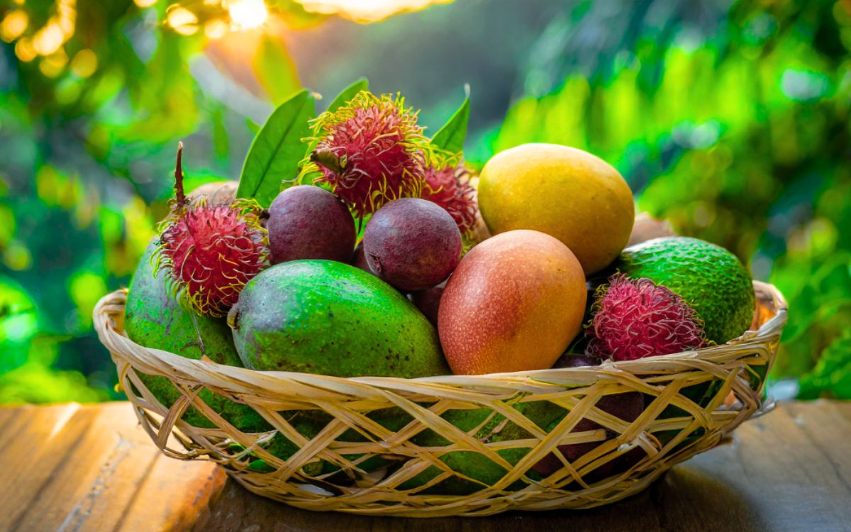 ফল: সংজ্ঞা, প্রকারভেদ, উদাহরণ এবং শ্রেণীবিভাগ