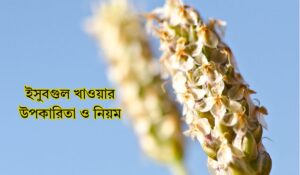 ইসুবগুল