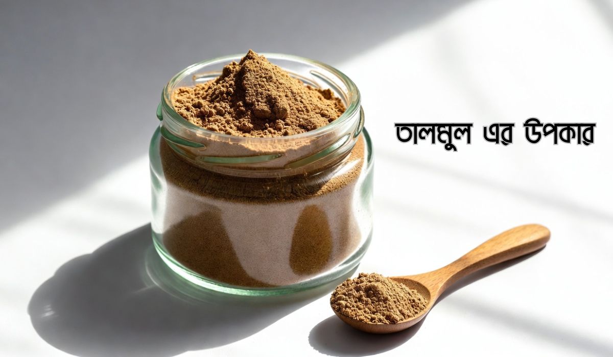 তালমূল পাউডার খাওয়ার উপকারিতা ও সেবন পদ্ধতি