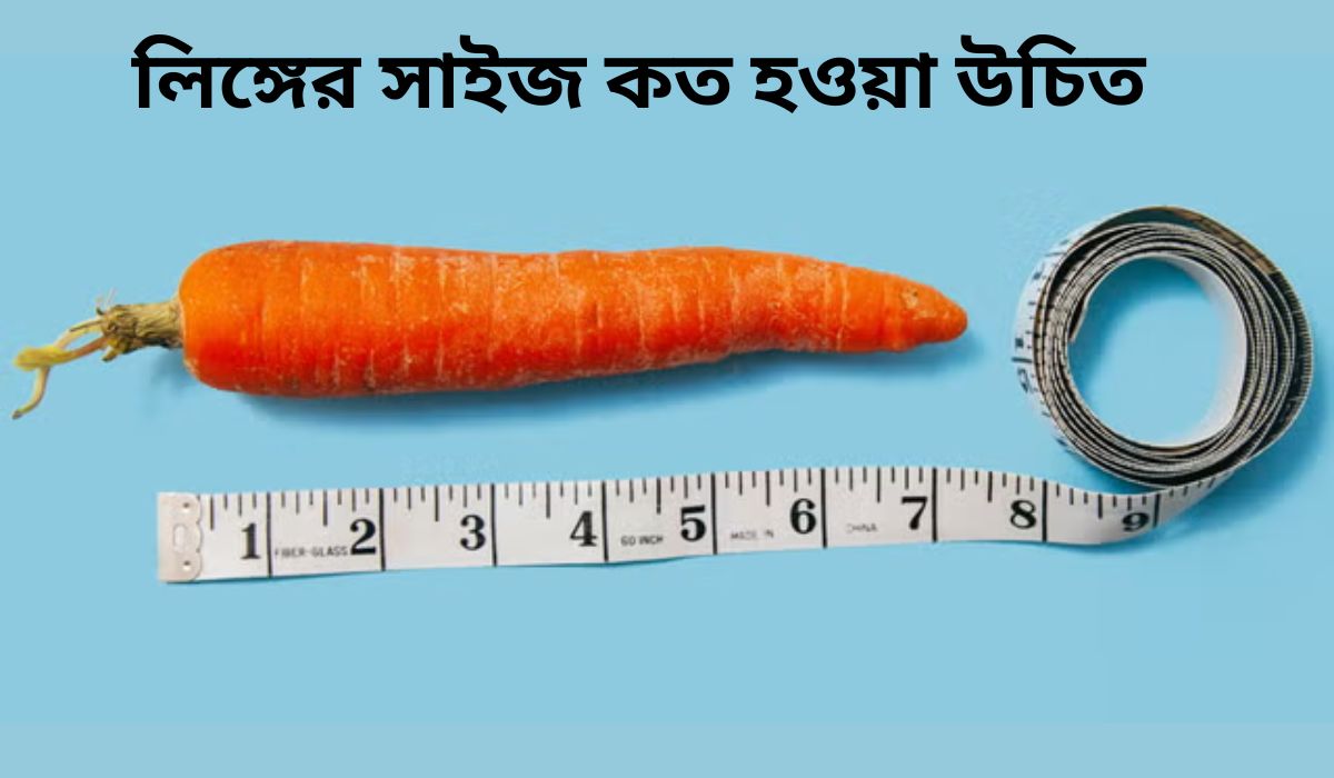 পুরুষাঙ্গের দৈর্ঘ্য ও বেধ সঠিকভাবে পরিমাপের ক্লিনিক্যাল পদ্ধতি