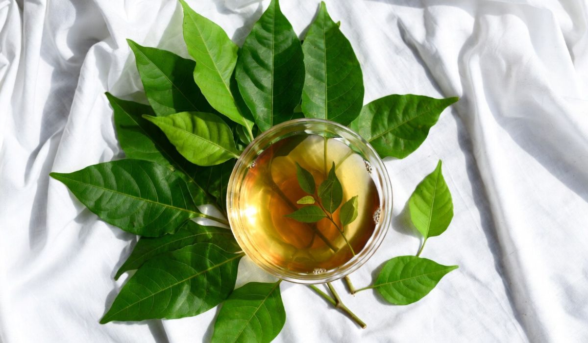 বাসক: স্বাস্থ্য উপকারিতা, সঠিক মাত্রা ও পার্শ্বপ্রতিক্রিয়া