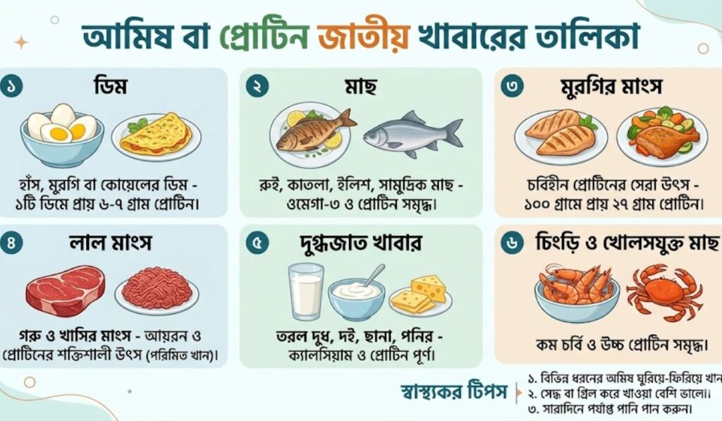 আমিষ জাতীয় খাবারের তালিকা