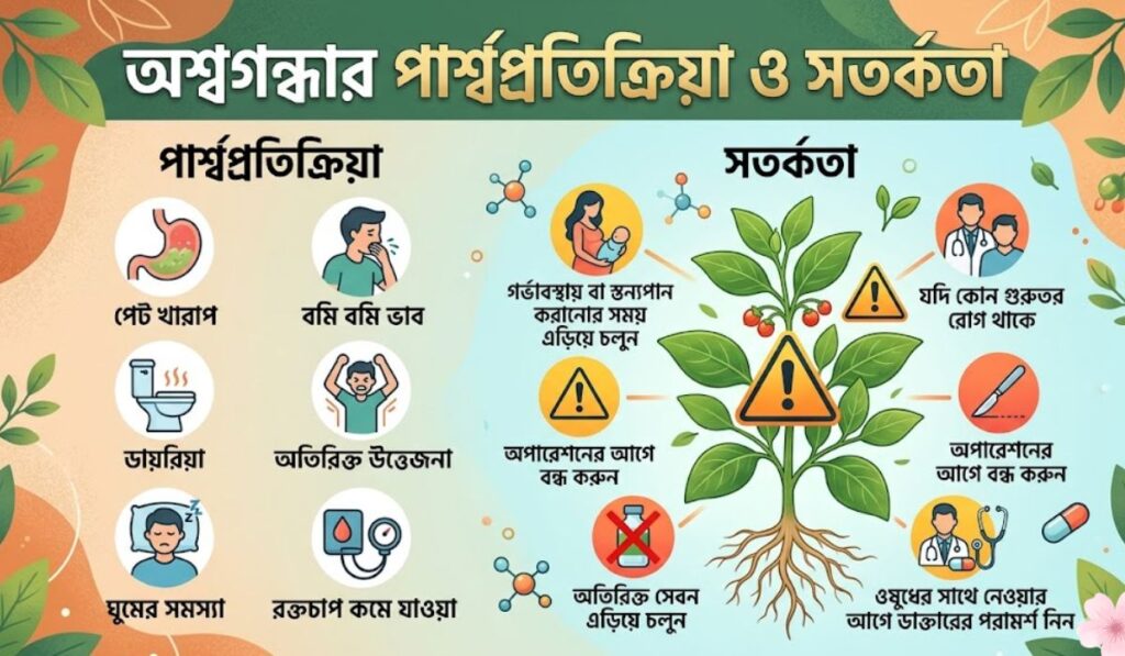 অশ্বগন্ধার পার্শ্বপ্রতিক্রিয়া: কাদের খাওয়া উচিত নয় ও সতর্কতা 1 অশ্বগন্ধার পার্শ্বপ্রতিক্রিয়া