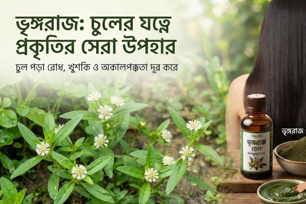 চুল পড়া রোধ ও খুশকি দূর করতে ভৃঙ্গরাজের উপকারিতা