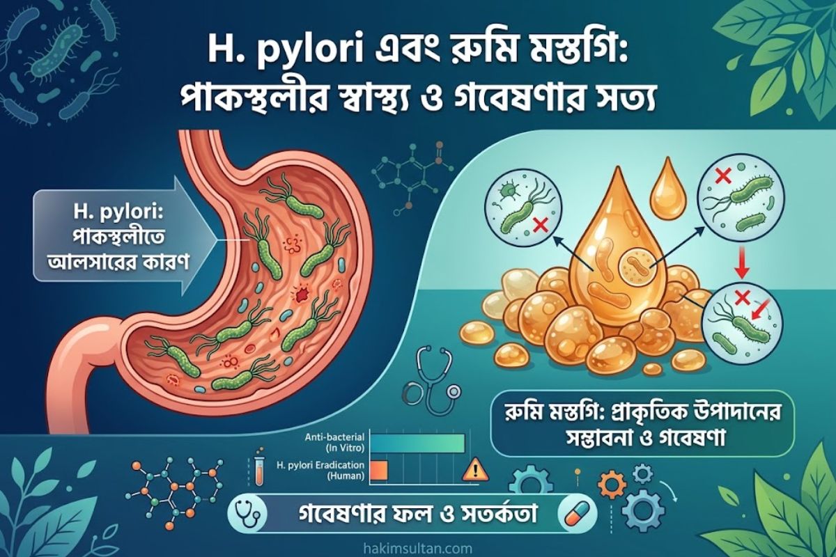 H. pylori নির্মূলে রুমি মস্তগি বা ম্যাস্টিক গামের ভূমিকা